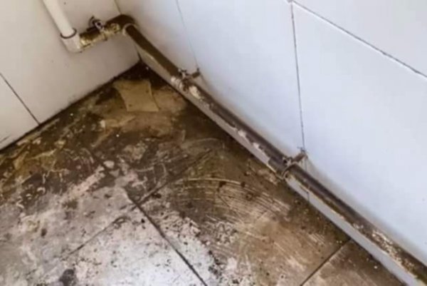 დასუფთავება