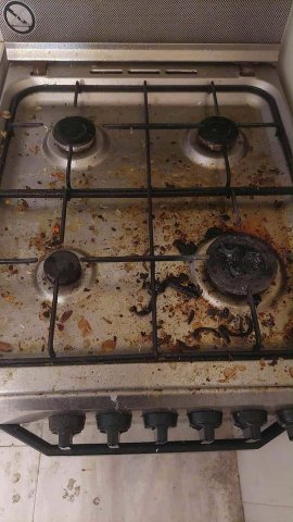 დალაგება